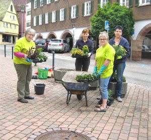 Sorgen sich um die Attraktivität des Stadtbilds (von links):  Anne Bosch, Heidi Raissle, Petra Jäckle und Claudia Buchholz pflanzen Blumen in Kübel. Foto: Hering Foto: Schwarzwälder-Bote