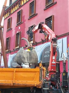 Schwan an der Schlinge: Ein Bauhof-Mitarbeiter bereitet den Kraneinsatz vor.  Foto: Ganswind