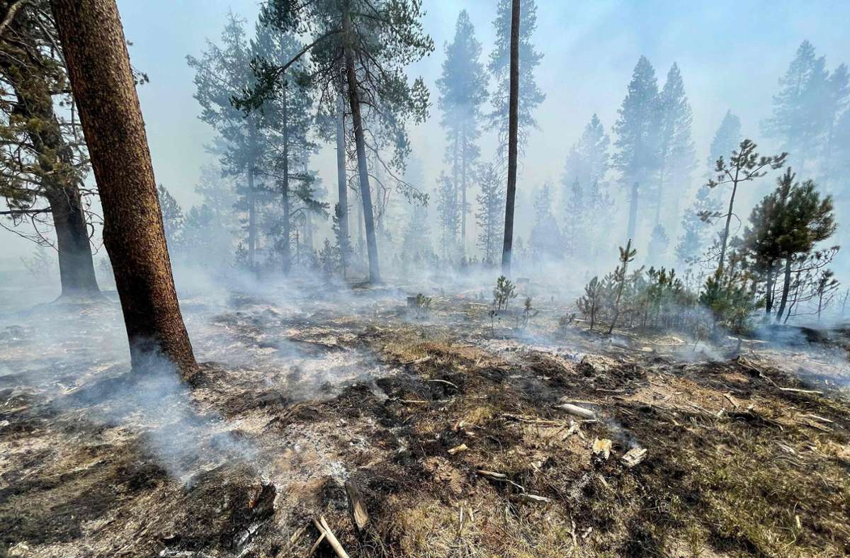 Bislang hat das Bootleg-Feuer rund 117 000 Hektar verwüstet. Foto: AFP