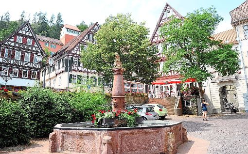 Calw ist einer der faszinierenden Orte, an denen Hermann Hesse lebte. Foto: Verstl Foto: Schwarzwälder-Bote