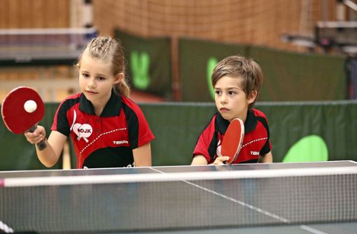 Der DJK Sportbund  Stuttgart legt großen Wert auf die Nachwuchsarbeit und ist  bundesweit  der Tischtennisclub mit den meisten Mannschaften. Foto:  