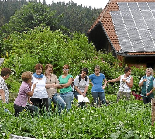 Die Arbeitsgemeinschaft der Erzieherinnen der Kindergärten der Raumschaft Triberg traf sich bei Kräuterfrau Marianne Fehrenbach (Zweite von links) in Nußbach. Foto: Meier Foto: Schwarzwälder-Bote