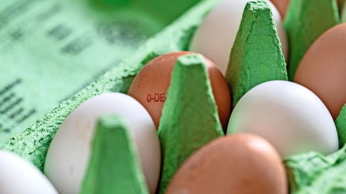 Unbekannte werfen rohe Eier in Fenster eines Gengenbacher Hotels