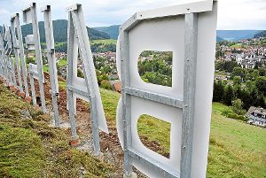 Durchblick in der Baiersbronner Kommunalpolitik gefragt: Noch läuft die Kandiatensuche für die Gemeinderatswahl. Foto: Braun