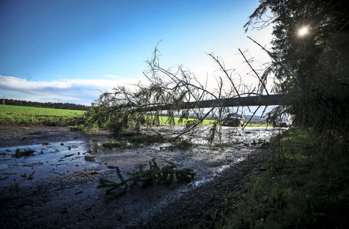 Sturm fegt über VS: Straßen durch Bäume blockiert, Forstamt warnt