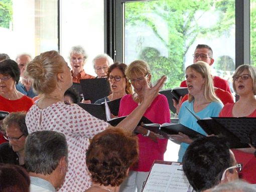 Bereits zum vierten Mal lud der Chor The Voices zu einer Matinee nach Bad Liebenzell ein.  Foto: Kosowska-Németh Foto: Schwarzwälder Bote