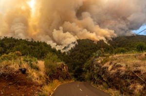 Durch den Waldbrand verursachter Rauch steigt in den Himmel der Kanareninsel La Palma. Foto: dpa/Europa Press