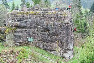 Die Bergwacht Obertal befreite die Ruine Tannenfels von Sträuchern und anderem Bewuchs.  Fotos: Braun Foto: Schwarzwälder-Bote