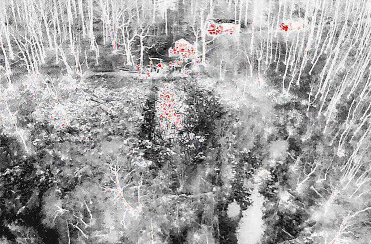 Drohnenaufnahme: Die roten Punkte zeigen, wo es wärmer ist. Foto: Martin Fleischer