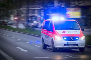 Notärzte und Rettungswagen sind in Stuttgart im Dauereinsatz – und kommen häufig kaum noch hinterher. Foto: Lichtgut/Achim Zweygarth
