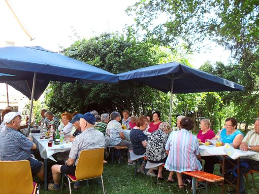 Das Gruoler Seniorenwerk feierte im Schatten der Bäume beim Pfarrheim St. Clemens ein Sommerfest. Foto: Seniorenteam Foto: Schwarzwälder Bote