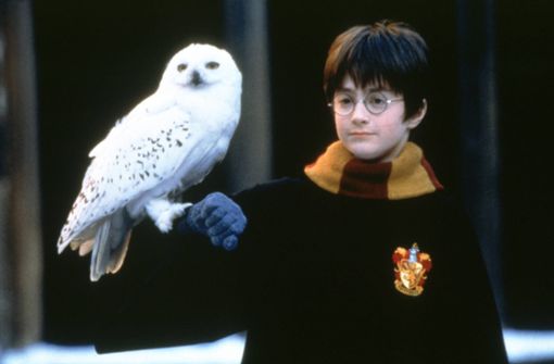 „Harry Potter“ soll nun auch als Serie kommen. Hier Daniel Radcliffe in der Verfilmung. Foto: imago/United Archives/imago stock&people