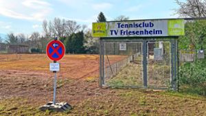Das ehemalige Tennisgelände ist vom Bewuchs befreit worden.  Dort soll ein  Baugebiet entstehen. Foto: Bohnert-Seidel