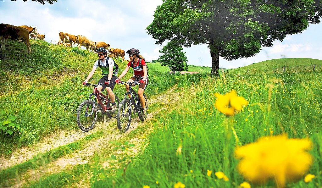 Eine Radtour durch das Ferienland Schwarzwald ist traumhaft schön: Pünktlich zum Start in die Radsaison 2015 wurde der Bestand an Fahrrädern und Bikes vergrößert.  Foto: Ferienland Foto: Schwarzwälder-Bote