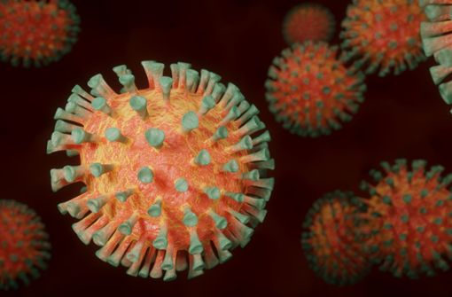 Vier neue Fälle in Zusammenhang mit dem Coronavirus wurden im Kreis Calw gemeldet. Foto: pixabay