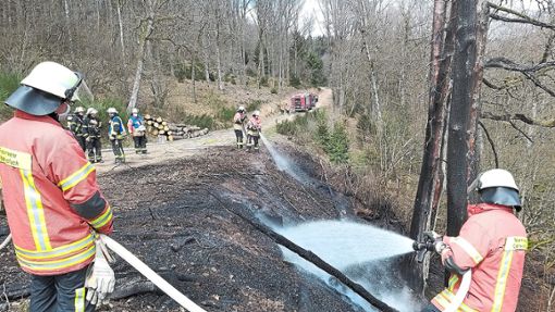 Die Feuerwehr Oberwolfach löschte am 3. April  im Gewann Grangat einen  Brand.  Foto: Feuerwehr Oberwolfach