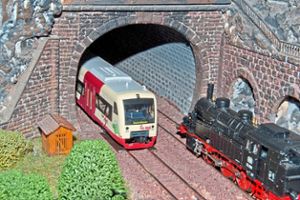 40 Züge aus allen Epochen befahren die Modelleisenbahnanlage des Villinger Eisenbahn-Club e.V. in der Villinger Weber­gasse. Foto: Club Foto: Schwarzwälder Bote