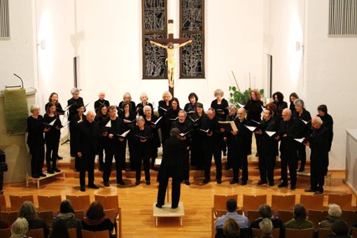 Der Kammerchor Ebingen verkündete lobte den Herrn mit der Vertonung des Magnificat. Foto: Bender Foto: Schwarzwälder Bote