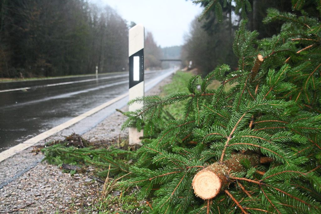 Umgestürzte Bäume blockierten einige Straßen im Kreis Freudenstadt.