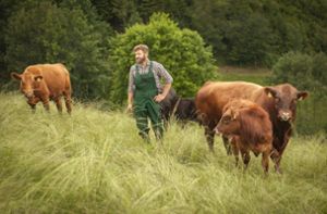 Bernd Wernet mit einigen seiner Angus-Rinder auf der Weide. Foto: Wernet/View More: http://juliayoungphotography.pass.us/wiesenbetthilserhof