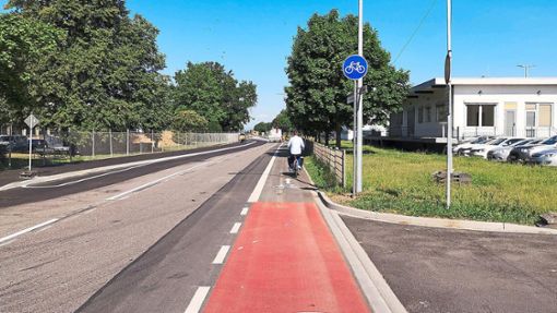 Die Grünen haben unter anderem den Radwege-Ausbau im Fokus. Foto: Stadt Lahr