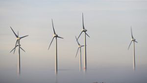 Waldrodung für Windpark rückt näher 