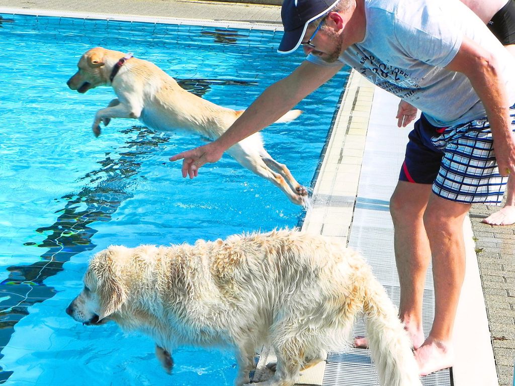 Auf die Plätze, fertig los: Der eine Hund springt etwas entschlossener, der andere ist etwas vorsichtiger vor dem ersten Kontakt mit dem Freibadwasser. Foto: Bäurle