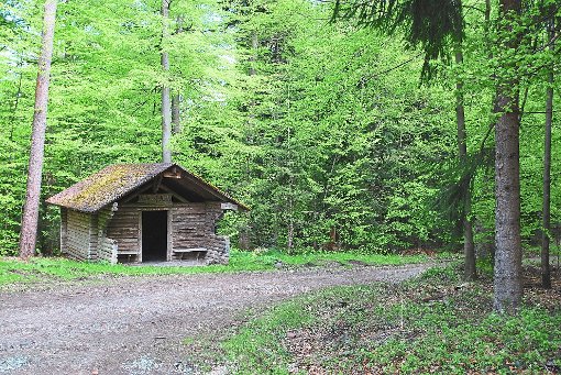 Die Allmandhütte soll den kleinen Besuchern des künftigen Waldkindergartens Schömberg Unterschlupf bieten. Foto: Fisel Foto: Schwarzwälder-Bote