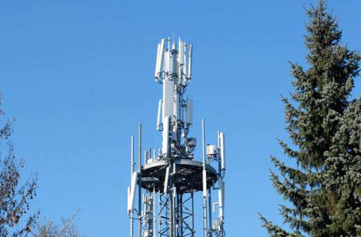 Rund 55 Meter hoch sind die beiden zusätzlichen Mobilfunkmasten, die auf Lichtungen bei Binsdorf aufgestellt werden sollen. Foto: Weißbrod