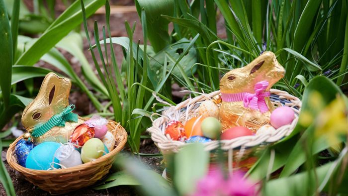 Am Ostersonntag geht’s auf Eiersuche