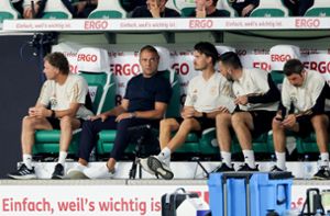 Bundestrainer Hansi Flick steht massiv unter Druck. Foto: dpa/Christian Charisius