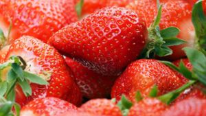 Erdbeeren selber pflücken - hier ist es möglich