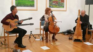 Das Duo Acoustic Eidolon  mit (von links) Joe Scott (Gitarre, Guito und Gesang) und Hannah Alkire (Cello und Gesang) trat mit dem Harfenisten Thomas Loefke  in Schömberg auf.  Foto: Günther Foto: Schwarzwälder Bote