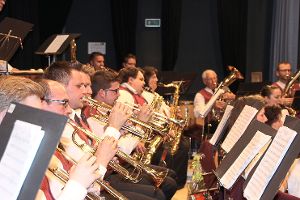 Die Musiker begeisterten das Publikum beim Frühjahrskonzert des Musikvereins  in der Tuninger Festhalle.   Foto: Bieberstein Foto: Schwarzwälder-Bote