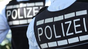 Mann wird von Polizei aus Bodensee gerettet - und geht Beamte an