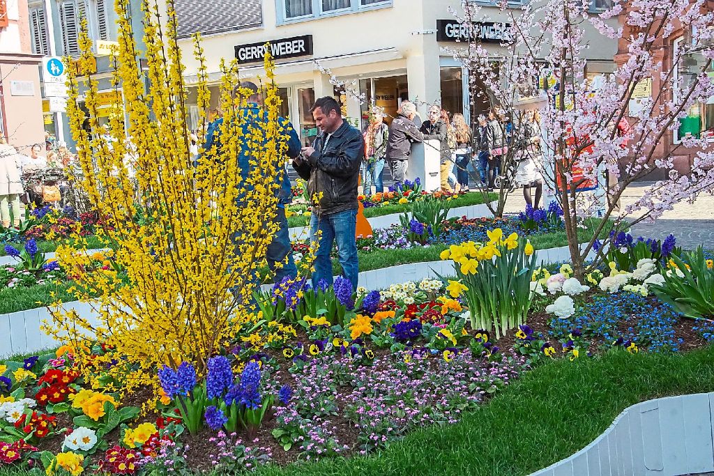 Blüten, wohin man blickt: Die Innenstadt gleich am gestrigen verkaufsoffenen Sonntag einem Blumenmeer.  Foto: Breuer