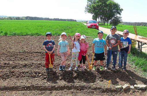 Bei schönstem Frühsommerwetter haben die Binsdorfer Vorschulkinder auf dem B2-Gelände Kartoffeln gepflanzt. Foto: Bitzer