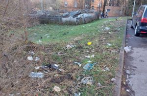 Zahlreiche Müllreste befinden sich auf dem Platz. Foto: Günther