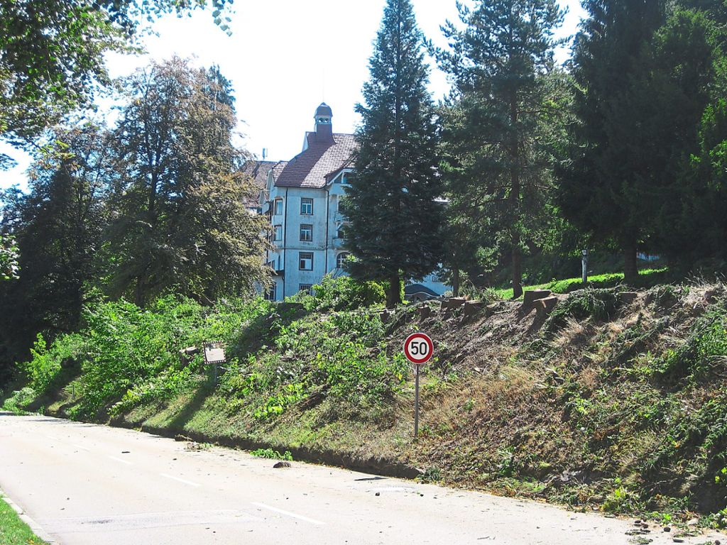 Durch die Baumfällungen an der Lauterbadstraße wird das ehemalige Hotel Waldlust wieder besser sichtbar.