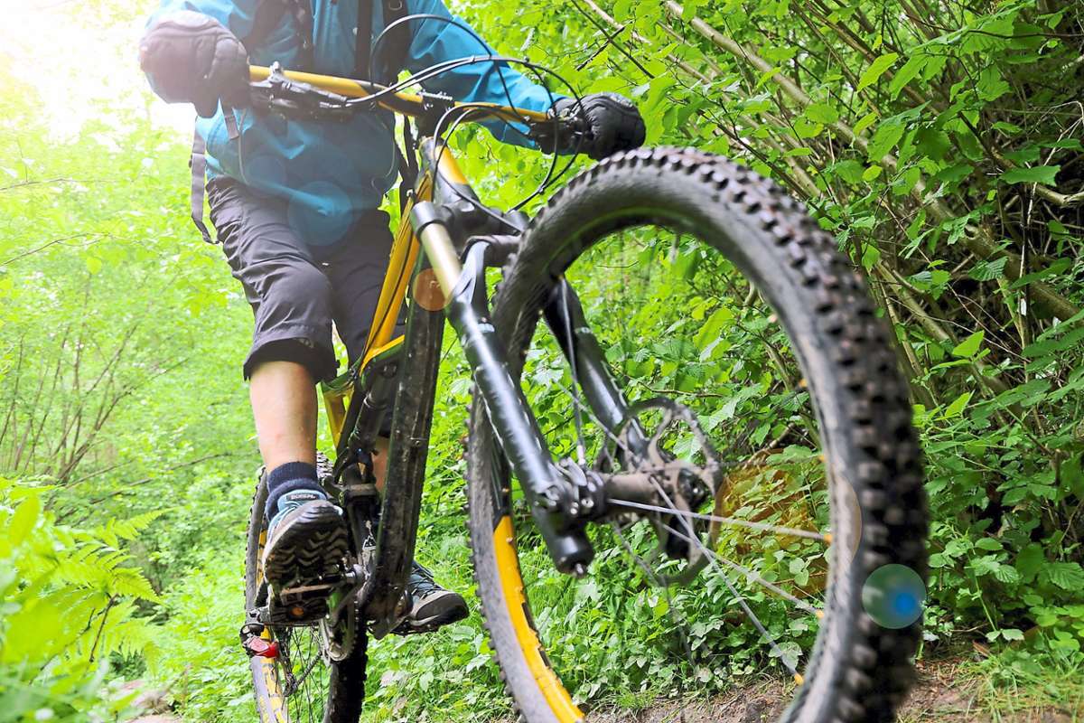 Das Mountainbike liebt Herausforderungen in der Natur. Foto: U. J. Alexander – stock.adobe.com