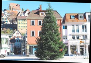 Seit Dienstag steht auf dem  Altensteiger Marktplatz ein großer Weihnachtsbaum, der ab dem ersten Advent in hellem Glanz erstrahlen soll. Foto: Köncke