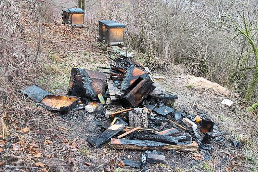 Völlig abgebrannt sind die Bienenkästen. Die Ursache des Feuers ist unklar. Foto: Steinmetz