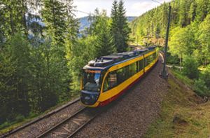 Fahrgäste der Murgtalbahn müssen ab dem 18. September mit längeren Reisezeiten rechnen. Foto: AVG