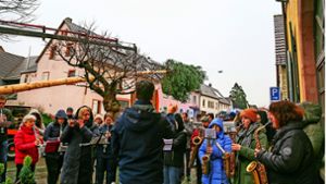 Unter den Klängen des Musikvereins Grafenhausen wurde die Bürgermeistertanne aufgestellt. Foto: Decoux