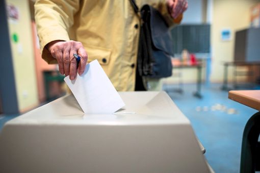 Die Ettenheimer stimmen am 1. August darüber ab, was mit der  Badwiese geschehen soll. Foto: Symbolfoto: Strauch/dpa