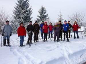 Die Wetterlage macht’s möglich: In Dornstetten werden wieder Schneeschuhwanderungen angeboten. Foto: Tourist-Information Foto: Schwarzwälder-Bote