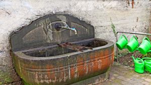 Ein Brunnen auf dem Friedhof in Balingen Foto: Roth