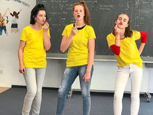 Die Theater-AG des Schwarzwald-Gymnasiums Triberg bringt am 24. Juli ein neues Stück auf die Kurhaus-Bühne. Foto: Schule Foto: Schwarzwälder Bote
