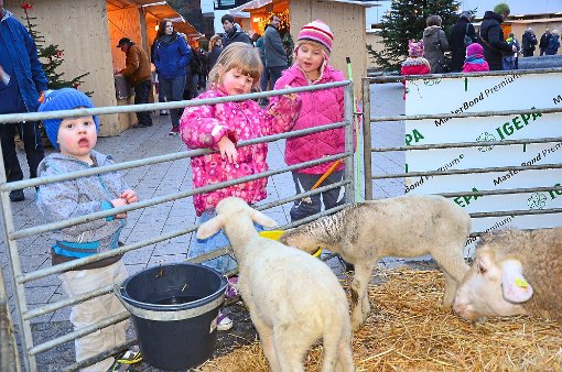 Von den Kindern wurden die Schafe beim Weihnachtsmarkt im Landesklinikum Nordschwarzwald viel gestreichelt. Foto: Bausch Foto: Schwarzwälder-Bote