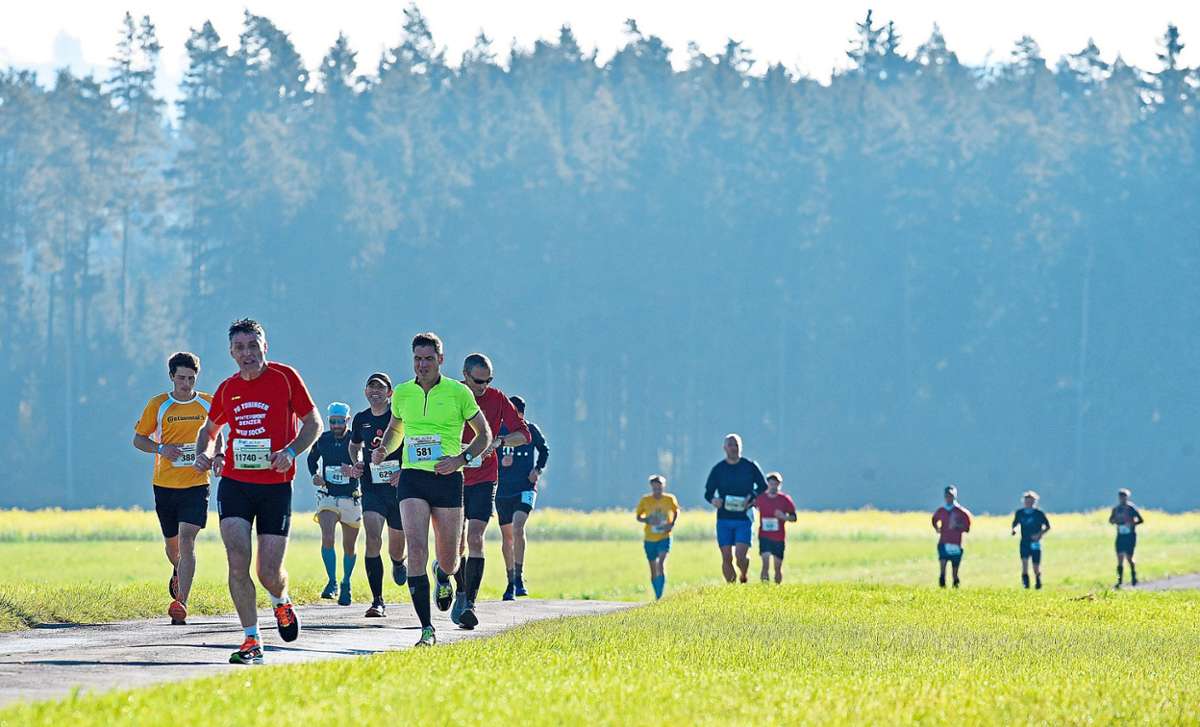 Traumwetter und Traumkulisse – die Läufer in der Nähe von Hubertshofen. Foto: Sigwart
